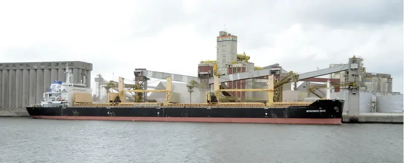 MYKONOS SEAS Bulk Carrier IMO 9491240