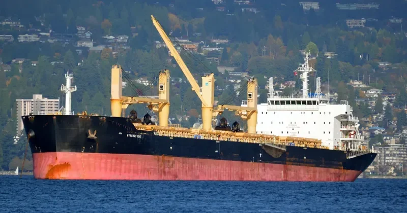 MYKONOS SEAS Bulk Carrier IMO 9491240 photo 2