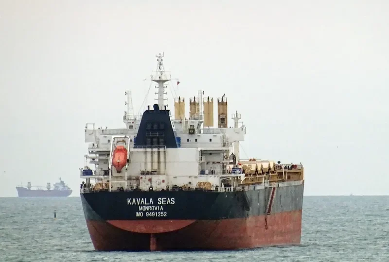 DAYANG ORIENT Bulk Carrier IMO 9491252