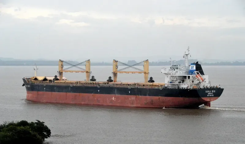 DAYANG ORIENT Bulk Carrier IMO 9491252 photo 2
