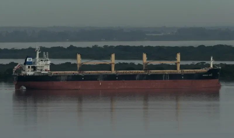 DAYANG ORIENT Bulk Carrier IMO 9491252 photo 5