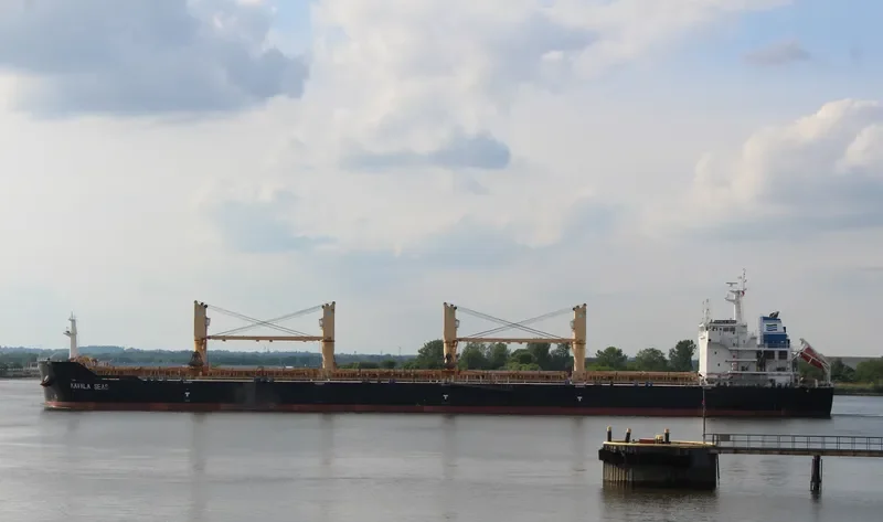 DAYANG ORIENT Bulk Carrier IMO 9491252 photo 8