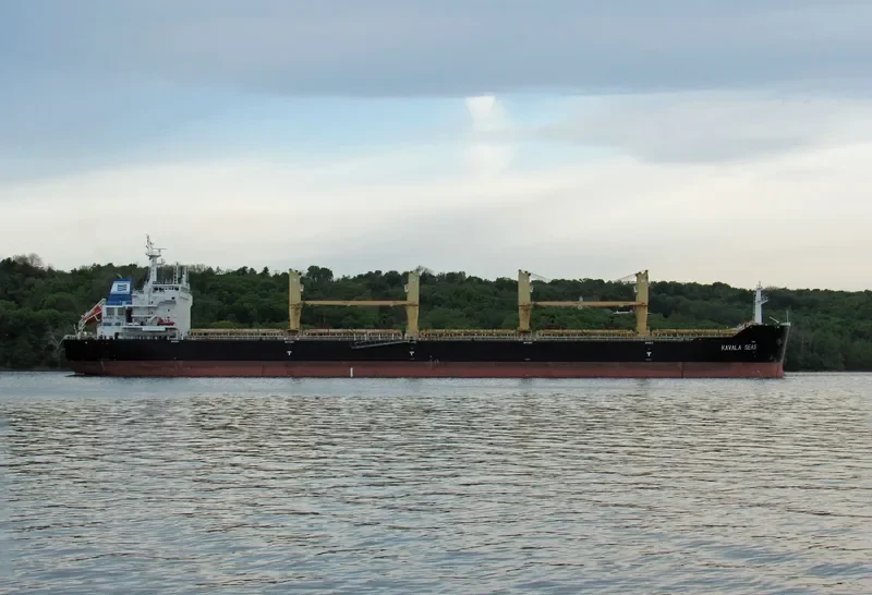 DAYANG ORIENT Bulk Carrier IMO 9491252 photo 9