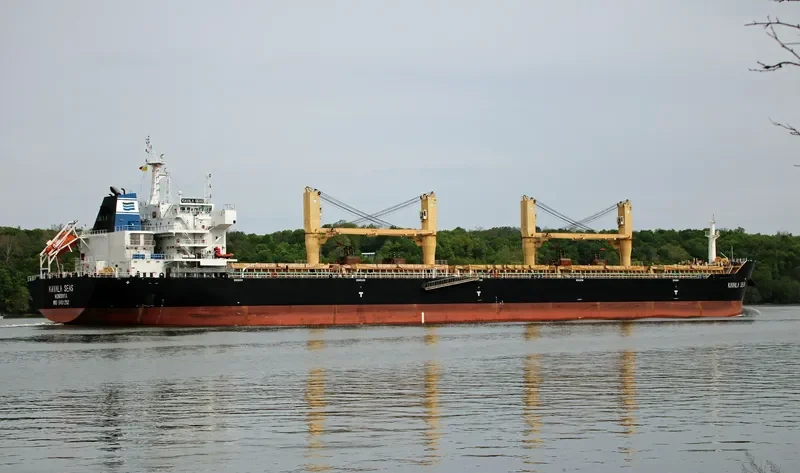 DAYANG ORIENT Bulk Carrier IMO 9491252 photo 10