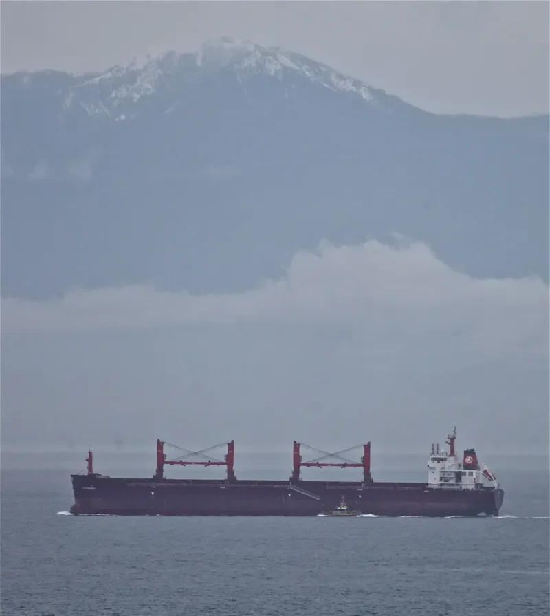 KIRAN AMERICA Bulk Carrier IMO 9491264 photo 6
