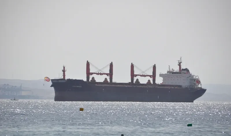 KIRAN AMERICA Bulk Carrier IMO 9491264 photo 7