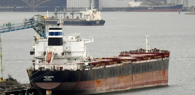SAN GEORGE Bulk Carrier IMO 9491288 photo 10