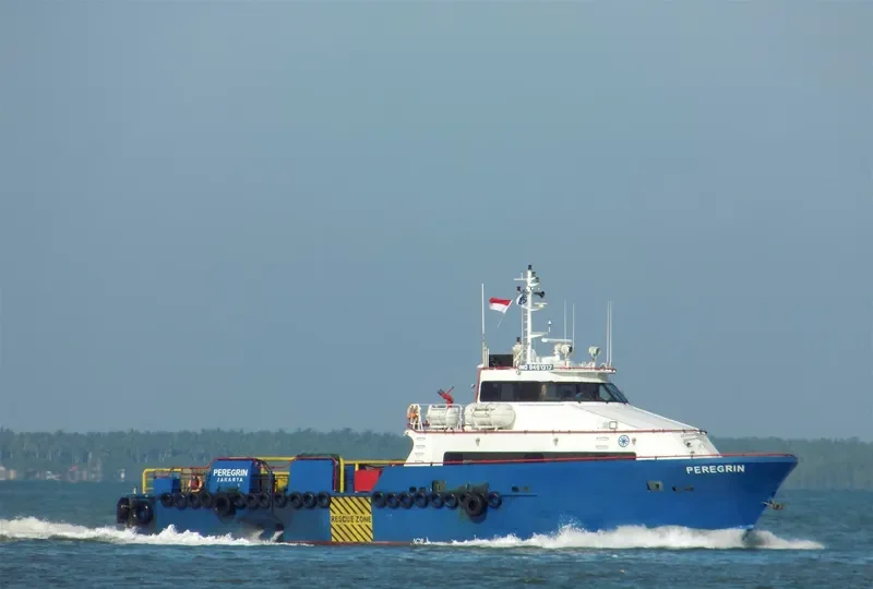 PEREGRIN Offshore Vessel IMO 9491317