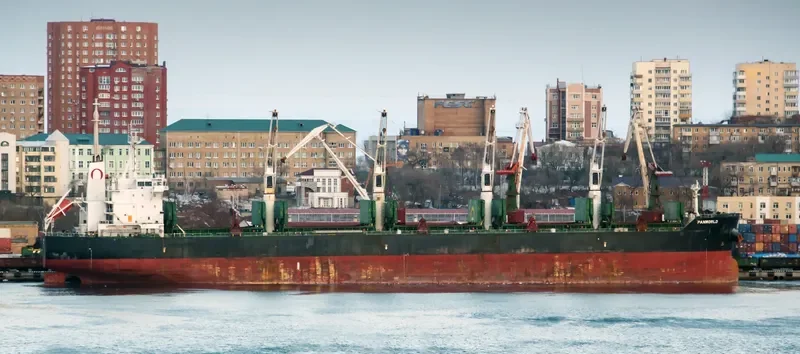 WOOYANG ELITE Bulk Carrier IMO 9491379 photo 3
