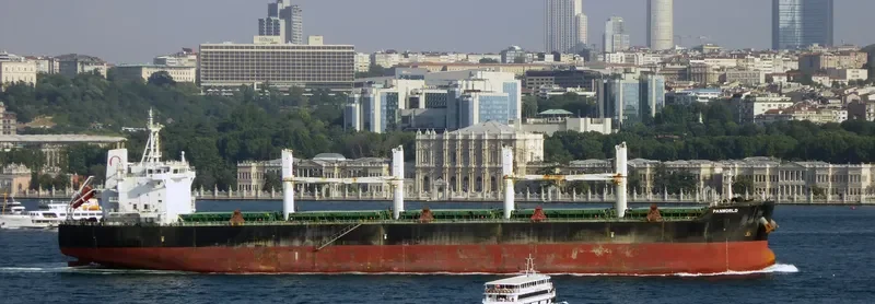 WOOYANG ELITE Bulk Carrier IMO 9491379 photo 5