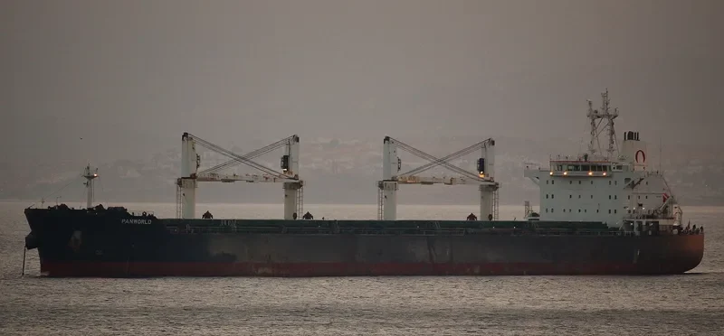 WOOYANG ELITE Bulk Carrier IMO 9491379 photo 6