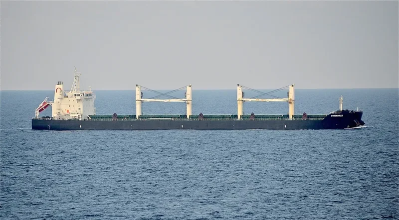 WOOYANG ELITE Bulk Carrier IMO 9491379 photo 8