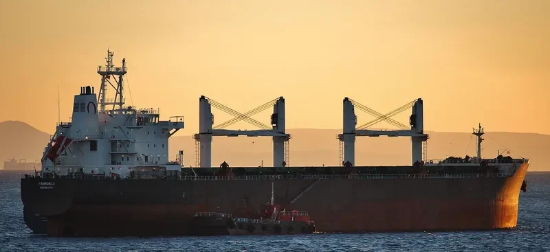 WOOYANG ELITE Bulk Carrier IMO 9491379 photo 9