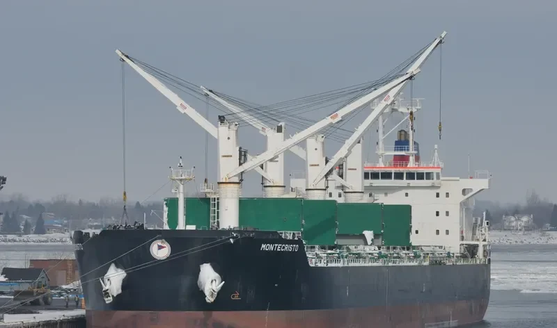 WOOYANG ELITE Bulk Carrier IMO 9491379 photo 10
