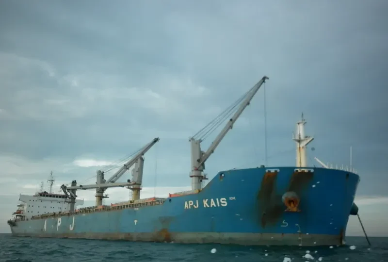APJ KAIS Bulk Carrier IMO 9491381 photo 6