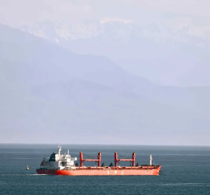 APJ JAI Bulk Carrier IMO 9491393