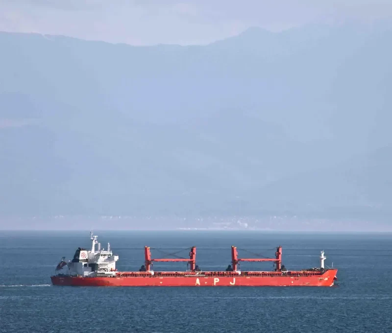 APJ JAI Bulk Carrier IMO 9491393 photo 2