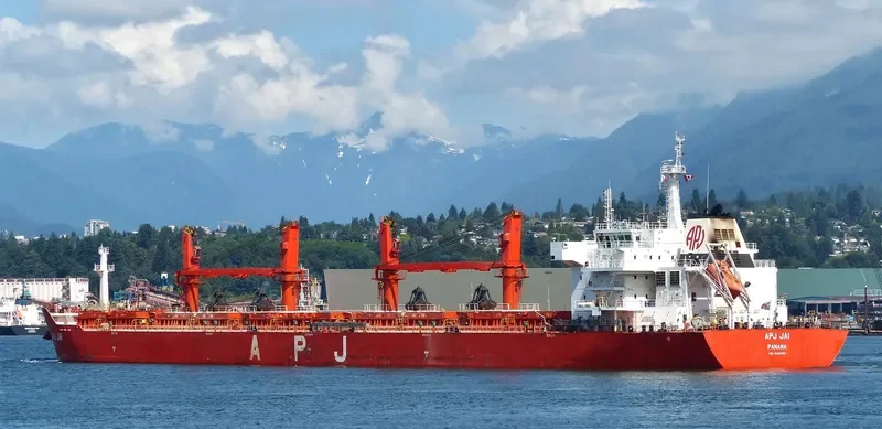 APJ JAI Bulk Carrier IMO 9491393 photo 3
