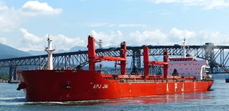 APJ JAI Bulk Carrier IMO 9491393 photo 4