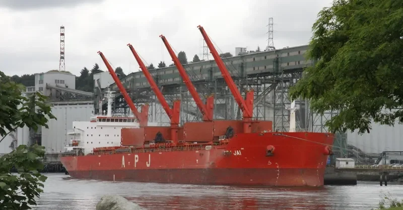 APJ JAI Bulk Carrier IMO 9491393 photo 6