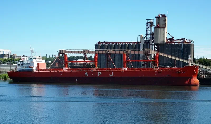 APJ JAI Bulk Carrier IMO 9491393 photo 7