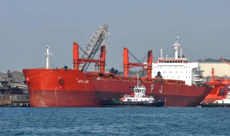 APJ JAI Bulk Carrier IMO 9491393 photo 8