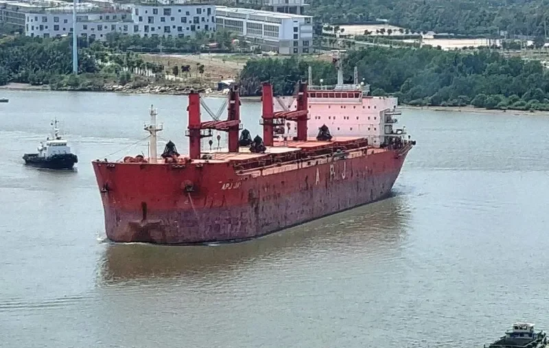 APJ JAI Bulk Carrier IMO 9491393 photo 9