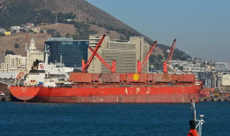APJ JAI Bulk Carrier IMO 9491393 photo 10