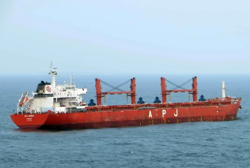 APJ SHIRIN Bulk Carrier IMO 9491408 photo 2