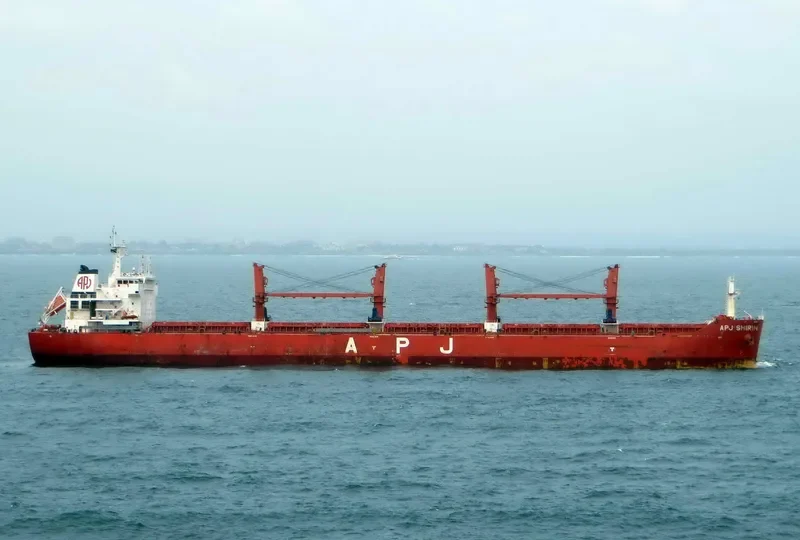APJ SHIRIN Bulk Carrier IMO 9491408 photo 3