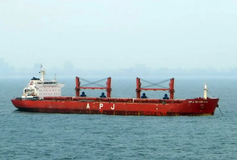 APJ SHIRIN Bulk Carrier IMO 9491408 photo 4