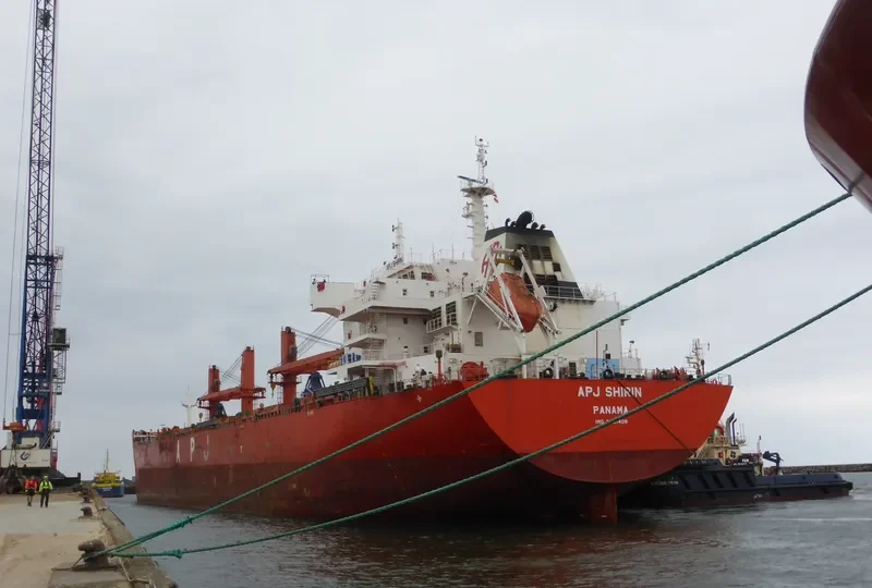 APJ SHIRIN Bulk Carrier IMO 9491408 photo 5