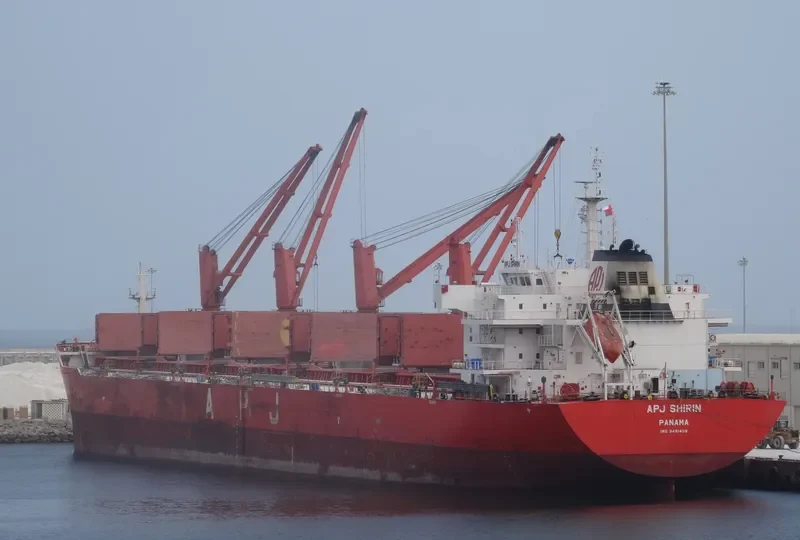 APJ SHIRIN Bulk Carrier IMO 9491408 photo 6