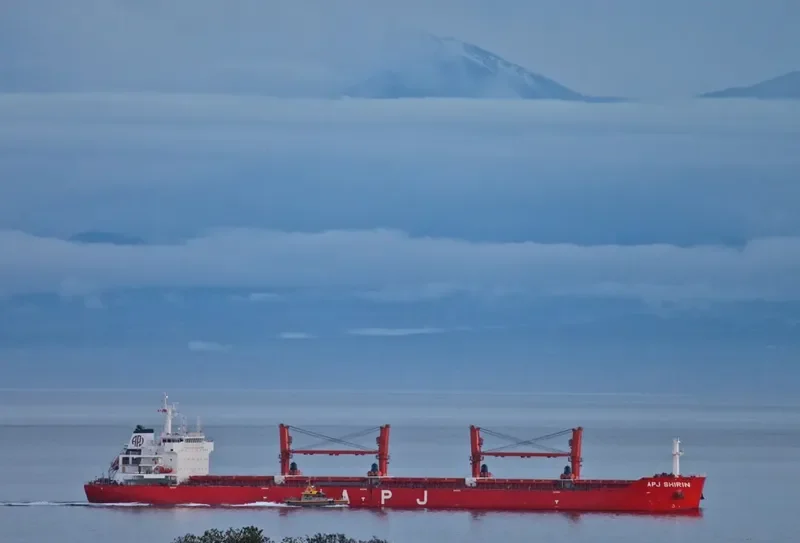 APJ SHIRIN Bulk Carrier IMO 9491408 photo 7