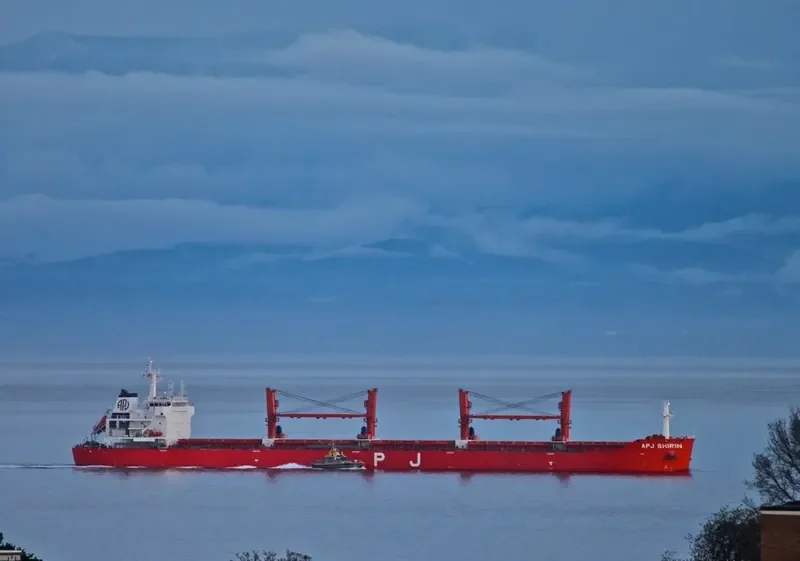 APJ SHIRIN Bulk Carrier IMO 9491408 photo 8