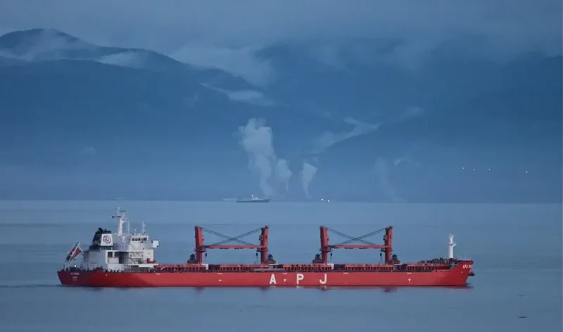 APJ SHIRIN Bulk Carrier IMO 9491408 photo 9