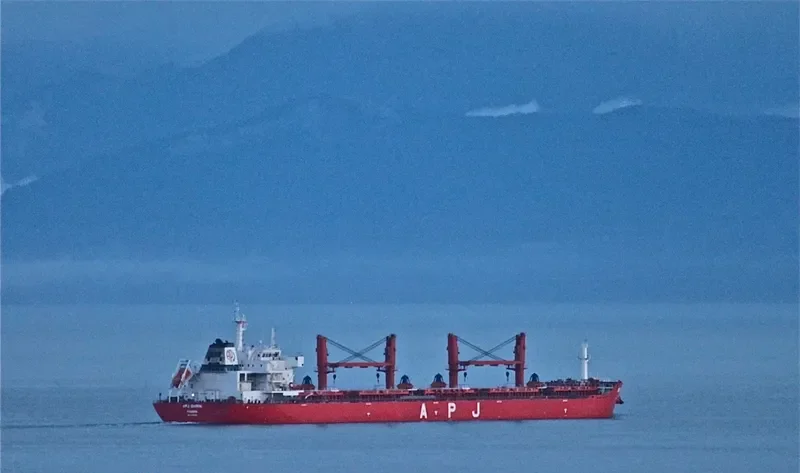 APJ SHIRIN Bulk Carrier IMO 9491408 photo 10