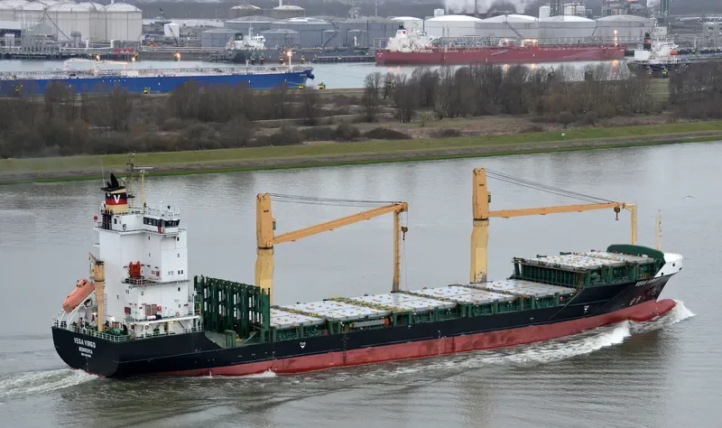 VEGA VIRGO Container Ship IMO 9491604