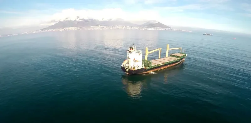 VEGA VIRGO Container Ship IMO 9491604 photo 9