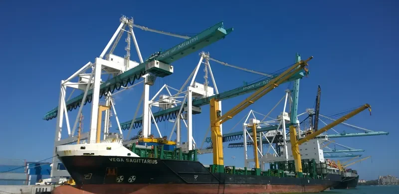 VEGA SAGITTARIUS Container Ship IMO 9491616