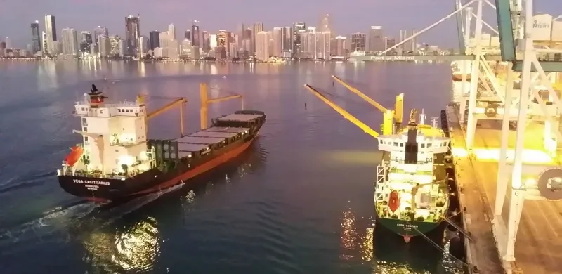 VEGA SAGITTARIUS Container Ship IMO 9491616 photo 2