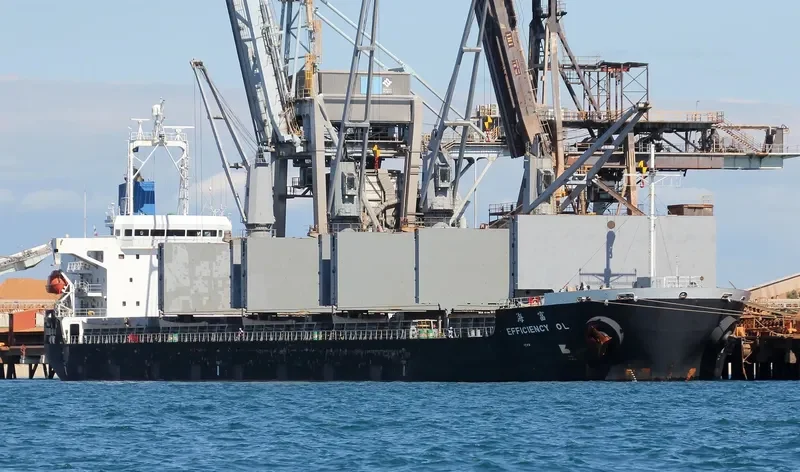 EFFICIENCY OL Bulk Carrier IMO 9491666