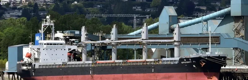 EFFICIENCY OL Bulk Carrier IMO 9491666 photo 2