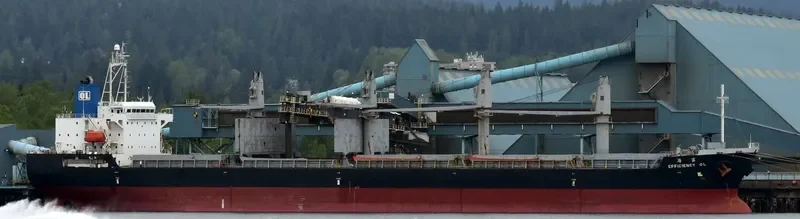 EFFICIENCY OL Bulk Carrier IMO 9491666 photo 3