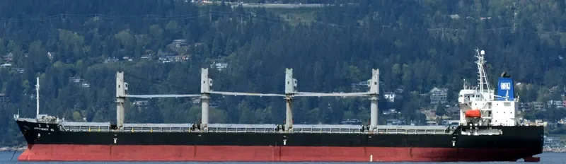 EFFICIENCY OL Bulk Carrier IMO 9491666 photo 4