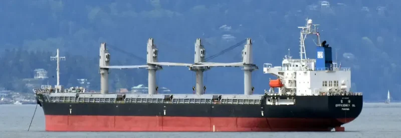 EFFICIENCY OL Bulk Carrier IMO 9491666 photo 5