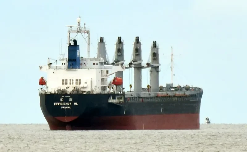 EFFICIENCY OL Bulk Carrier IMO 9491666 photo 6