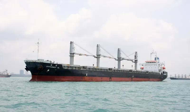 EFFICIENCY OL Bulk Carrier IMO 9491666 photo 7
