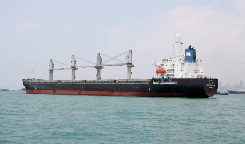EFFICIENCY OL Bulk Carrier IMO 9491666 photo 8
