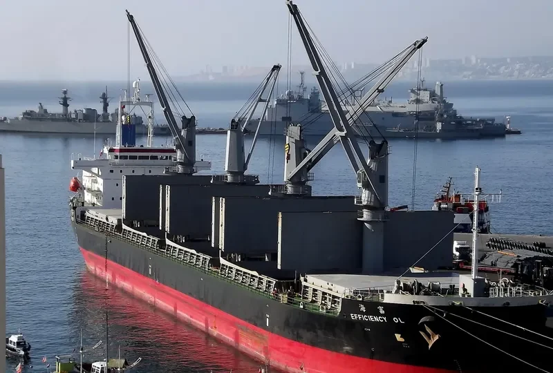 EFFICIENCY OL Bulk Carrier IMO 9491666 photo 9